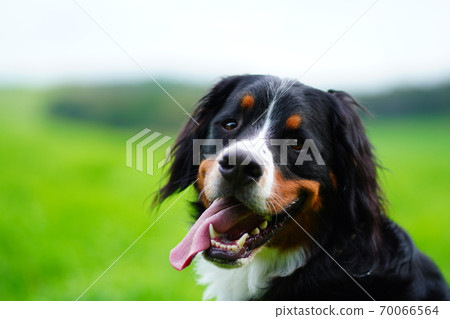 隱藏和看到 70066564