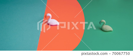 plastic model of bird on colorful paper modern design banner background plastic model of bird on colorful paper modern design banner background 70067750