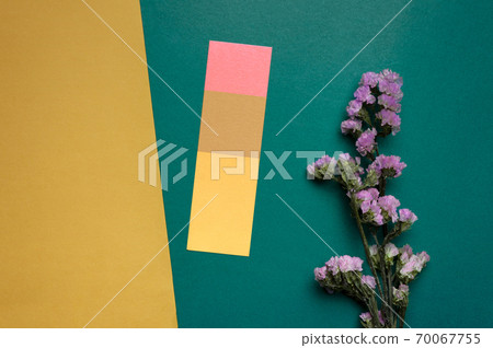 dry purple flower on yellow green paper vintage nature background dry purple flower on yellow green paper vintage nature background 70067755