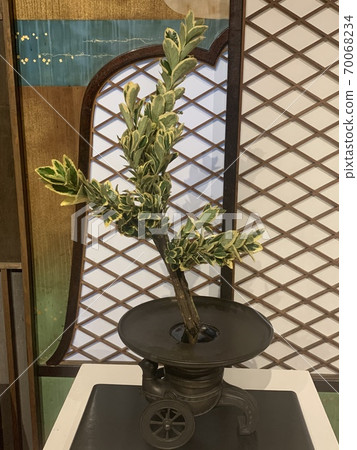 Sogetsu風格的鮮花 70068234