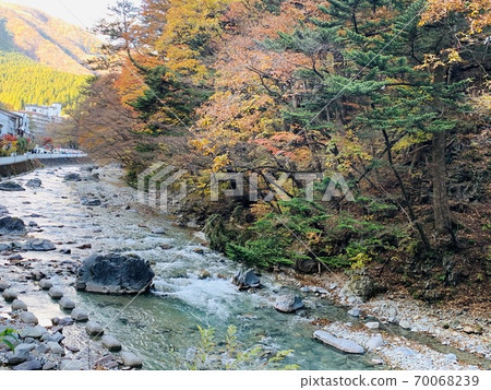 群馬縣的秋葉 70068239
