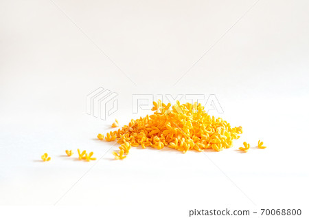 Collect a lot of Kinmokusei flowers Collect a lot of Kinmokusei flowers 70068800