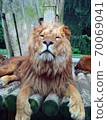 公獅子了 70069041