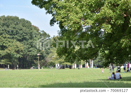 View of the lawn square 70069127