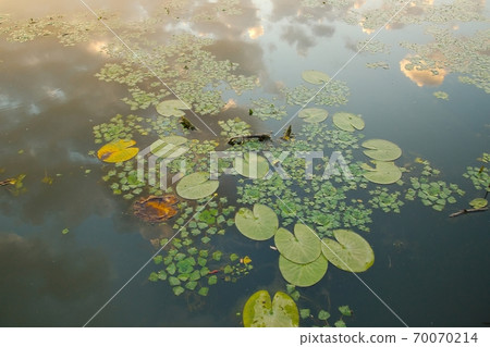 Lake Surface 70070214