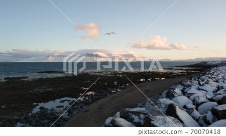 Winter landscape, oceanic beach with black volcanic sand in iceland 70070418