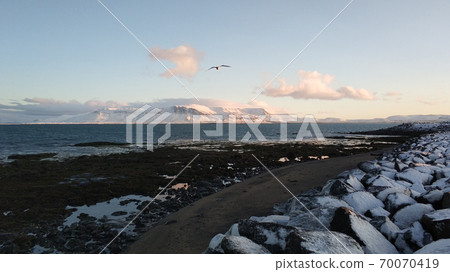 Winter landscape, oceanic beach with black volcanic sand in iceland 70070419