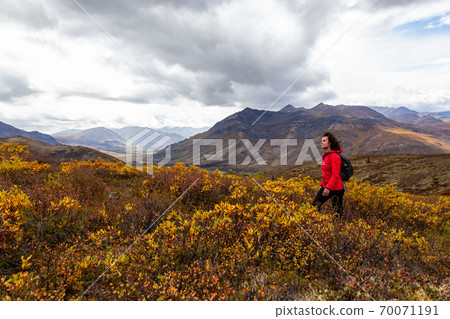 Girl Hiking in Canadian Nature 70071191