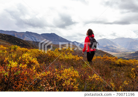 Girl Hiking in Canadian Nature 70071196