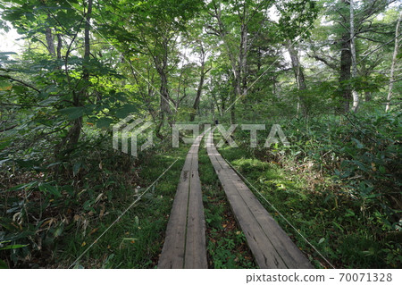 Mountain trail from Oze Hatomachi Pass in Katashina Village, Gunma Prefecture to Yamanohana Mountain trail from Oze Hatomachi Pass in Katashina Village, Gunma Prefecture to Yamanohana 70071328