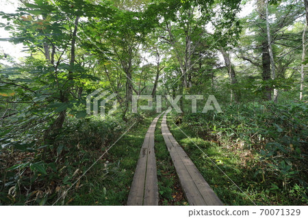 Mountain trail from Oze Hatomachi Pass in Katashina Village, Gunma Prefecture to Yamanohana Mountain trail from Oze Hatomachi Pass in Katashina Village, Gunma Prefecture to Yamanohana 70071329