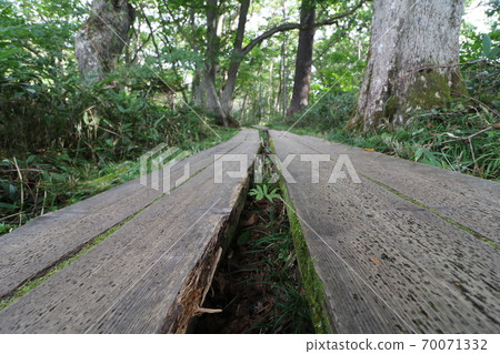 Mountain trail from Oze Hatomachi Pass in Katashina Village, Gunma Prefecture to Yamanohana Mountain trail from Oze Hatomachi Pass in Katashina Village, Gunma Prefecture to Yamanohana 70071332
