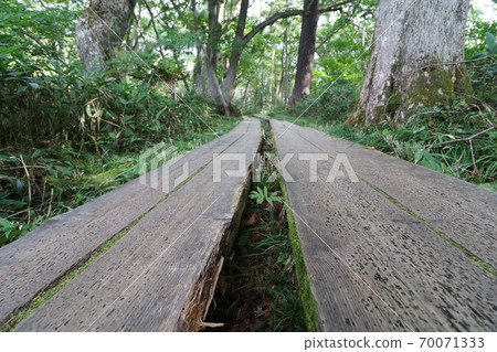 Mountain trail from Oze Hatomachi Pass in Katashina Village, Gunma Prefecture to Yamanohana Mountain trail from Oze Hatomachi Pass in Katashina Village, Gunma Prefecture to Yamanohana 70071333