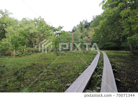 Mountain trail from Oze Hatomachi Pass in Katashina Village, Gunma Prefecture to Yamanohana 70071344