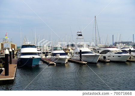 Marina Marina 70071668