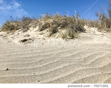 Sand Dunes In The Coastal Town Of Pomorie, Bulgaria. Sand Dunes In The Coastal Town Of Pomorie, Bulgaria. 70071992
