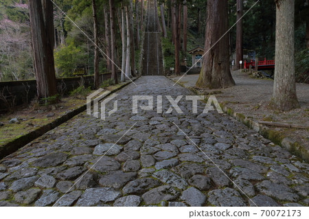通向本館的石質路面(山梨縣美山山國治市日蓮宗本部博大台) 通向本館的石質路面(山梨縣美山山國治市日蓮宗本部博大台) 70072173