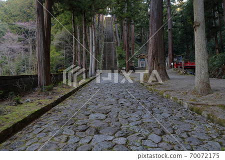 Stairs leading from the stone pavement (Bodaitei Steps, Kuonji Temple, Kuonji Temple, Yamanashi Prefecture) 70072175