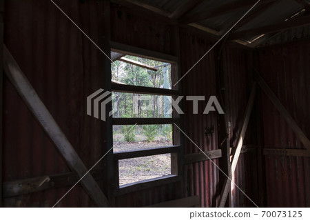 Inside an old building looking out the window at a forest 70073125