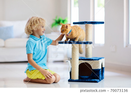 Child playing with cat at home. Kids and pets. 70073136