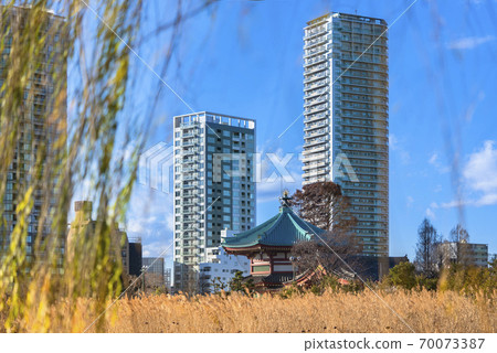 [Tokyo, Ueno] An octagonal Benten temple that enshrines the Bensaiten of the Seven Lucky Gods standing in the middle of the weeping willow of Kanei-ji Temple and the Shinobazu Pond of withered lotus. 70073387