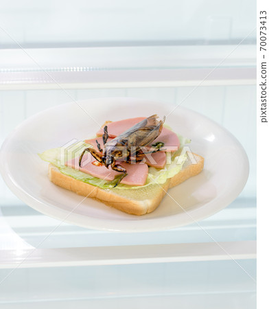 An open fridge with a big beetle on toast on plate. 70073413