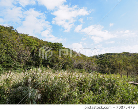 Original scenery of Shonan Miura Peninsula Autumn of Koajiro no Mori, the best wetland in the metropolitan area (wetland area) Original scenery of Shonan Miura Peninsula Autumn of Koajiro no Mori, the best wetland in the metropolitan area (wetland area) 70073479