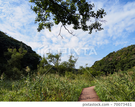Original scenery of Shonan Miura Peninsula Autumn of Koajiro no Mori, the best wetland in the metropolitan area (wetland area) 70073481