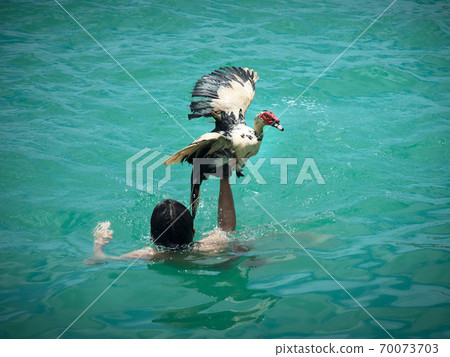 Itoman City, Okinawa Prefecture Itoman Harley Duck Picking Competition 70073703
