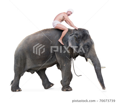 terrified mahout rides on an elephant terrified mahout rides on an elephant 70073739