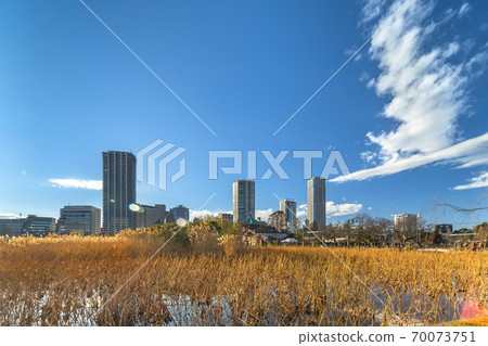 [Ueno, Tokyo] An octagonal Benzaiten that enshrines the Benzaiten of the Seven Lucky Gods, standing in the middle of the pampas grass of Kaneiji Temple and the dead lotus Shinobazu Pond. 70073751