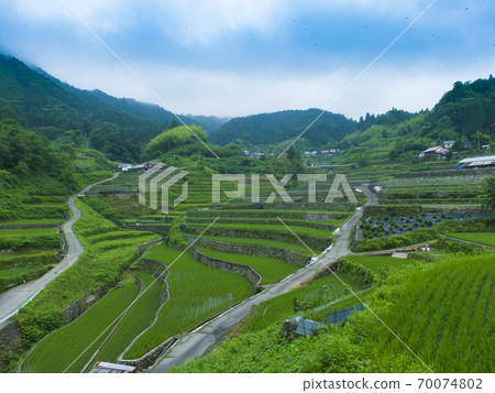 Ini Tanada, Hiroshima Prefecture (100 selections of rice terraces in Japan) 70074802
