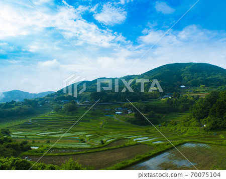 Rice terraces in Ohaganishi, Okayama Prefecture (100 selections of rice terraces in Japan) 70075104