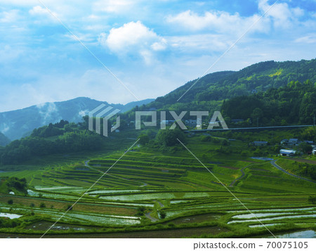 Rice terraces in Ohaganishi, Okayama Prefecture (100 selections of rice terraces in Japan) 70075105