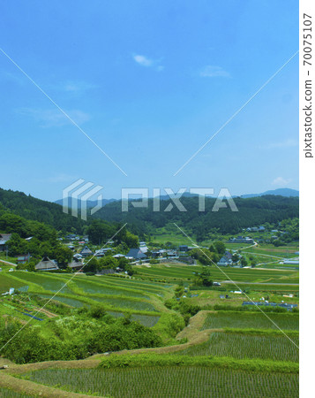 Rice terraces in Hase, Osaka (100 selections of rice terraces in Japan) Rice terraces in Hase, Osaka (100 selections of rice terraces in Japan) 70075107