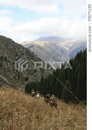 Four riders on horseback descend from the mountains, overgrown with forest Four riders on horseback descend from the mountains, overgrown with forest 70075189