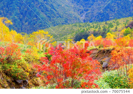 美麗的北阿爾卑斯山2010年部分：秋葉Yakidake 2010年部分：秋天的落葉和2010年北阿爾卑斯山 70075544