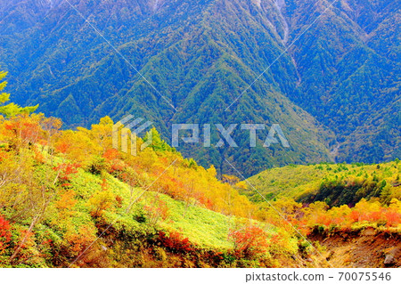 美麗的北阿爾卑斯山2010年部分：秋葉Yakidake 2010年部分：秋天的落葉和2010年北阿爾卑斯山 70075546
