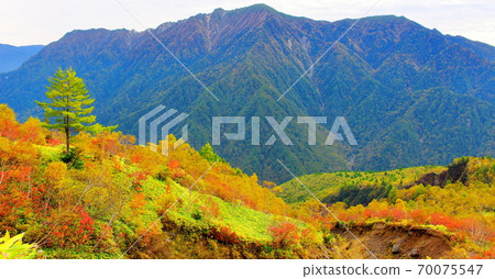 美麗的北阿爾卑斯山2010年部分：秋葉Yakidake 2010年部分：秋天的落葉和2010年北阿爾卑斯山 70075547