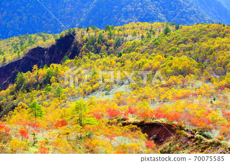 美麗的北阿爾卑斯山2010年部分：秋葉Yakidake 2010年部分：秋天的落葉和2010年北阿爾卑斯山 70075585