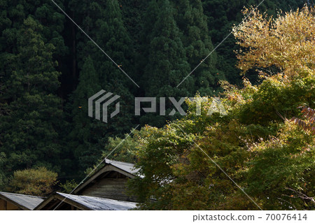 Tottori Four seasons walk Itaihara village Tottori Four seasons walk Itaihara village 70076414