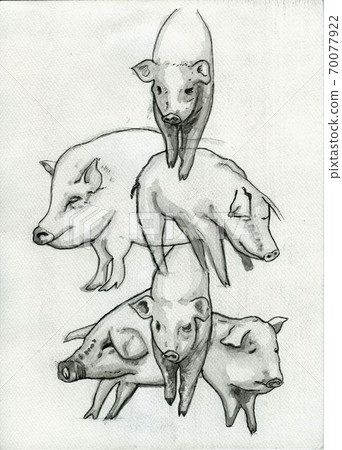 Pig (transparent watercolor, drawing paper) Pig (transparent watercolor, drawing paper) 70077922