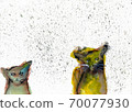 Cat (transparent watercolor, ink) 70077930