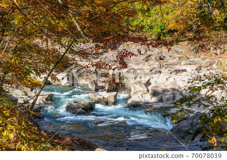 山谷裡的秋葉 70078039