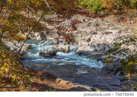 山谷裡的秋葉 70078040