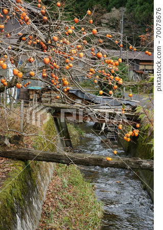 Tottori Four seasons walk Itaihara village Tottori Four seasons walk Itaihara village 70078676