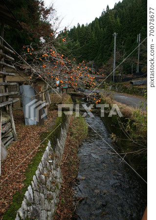 鳥取四季走Itaihara村 70078677