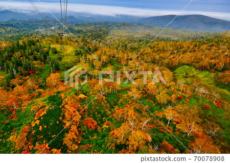 朝日秋葉 朝日秋葉 70078908