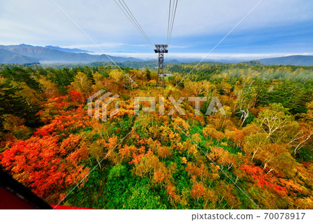 Autumn leaves of Mt. Asahidake 70078917
