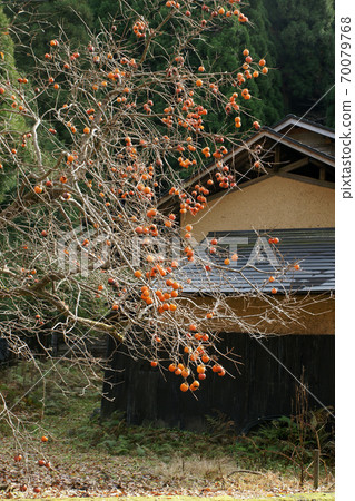 Tottori Four seasons walk Itaihara village Tottori Four seasons walk Itaihara village 70079768